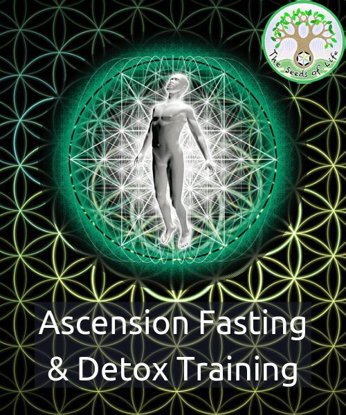 Ascension Fasting: The 7-Day Raw Food Reset Protocol