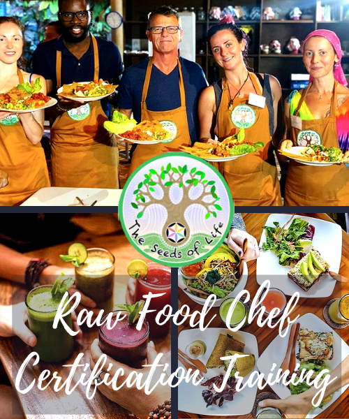Raw Food Chef Certification — December 2026, Bali
