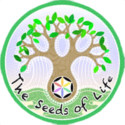 Raw Vegan Chef Training Bali - Seeds of Life - Raw Food Classes Ubud logo